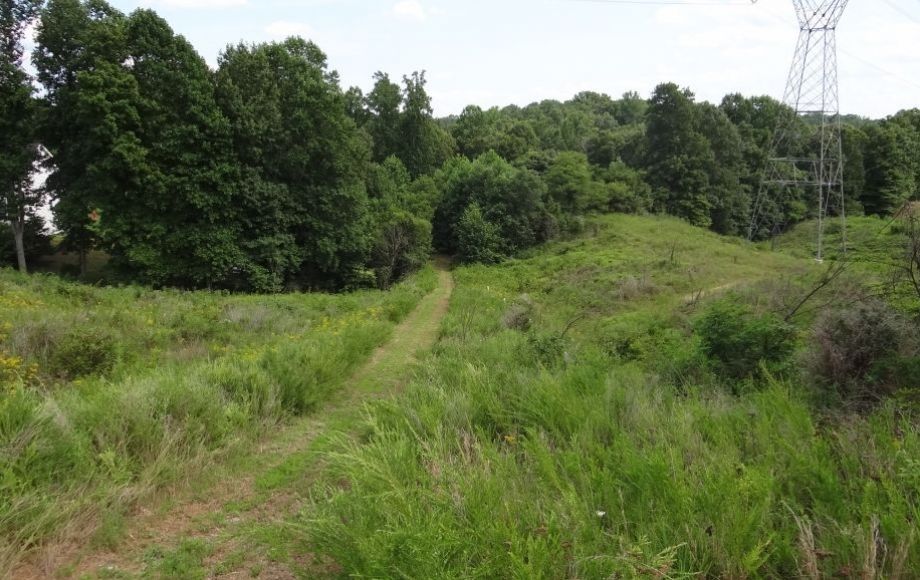 Image for 7 +/- Acre Building Lot in Battery Ridge,Stafford County, VA—ONLINE ONLY BIDDING!!