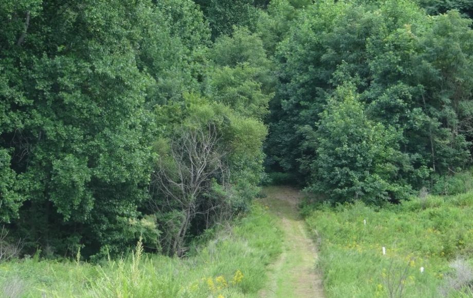 Image for 7 +/- Acre Building Lot in Battery Ridge,Stafford County, VA—ONLINE ONLY BIDDING!!