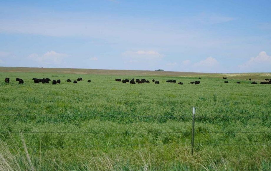 Image for Bowen Arrow Ranch - 8,735 +/- Total Acres