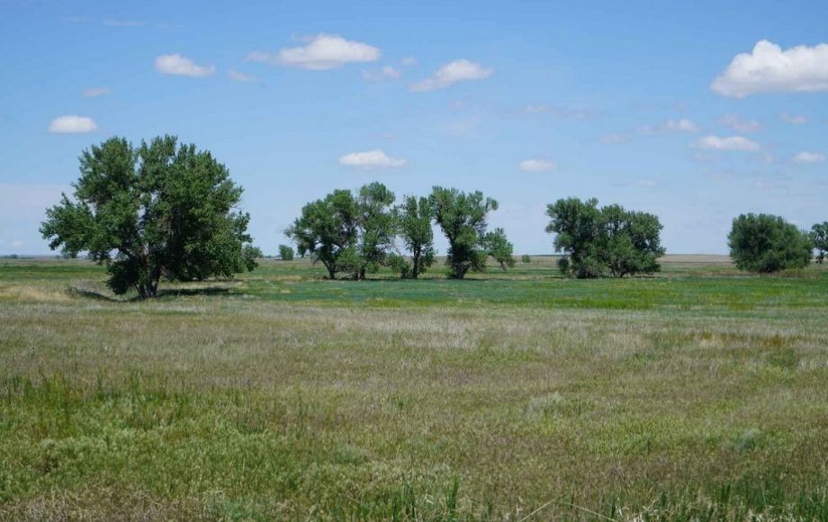 Image for Bowen Arrow Ranch - 8,735 +/- Total Acres