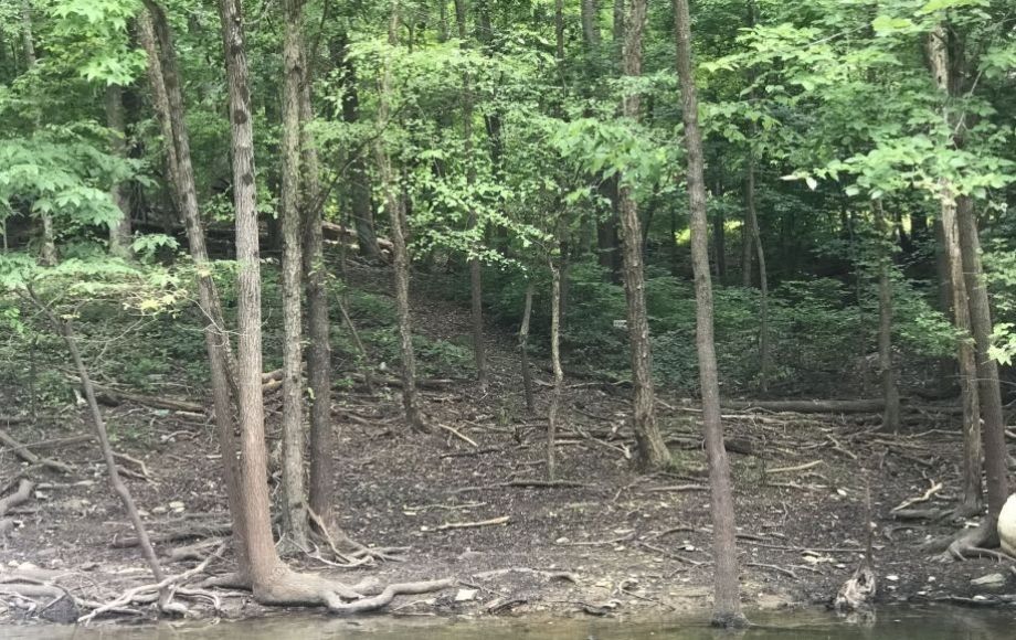 Image for 1.11 /- Acre Building Lot on Kerr Lake/Buggs Island Lake—ONLINE ONLY BIDDING!!