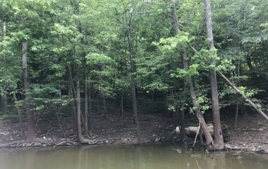 Image for 1.11 /- Acre Building Lot on Kerr Lake/Buggs Island Lake—ONLINE ONLY BIDDING!!