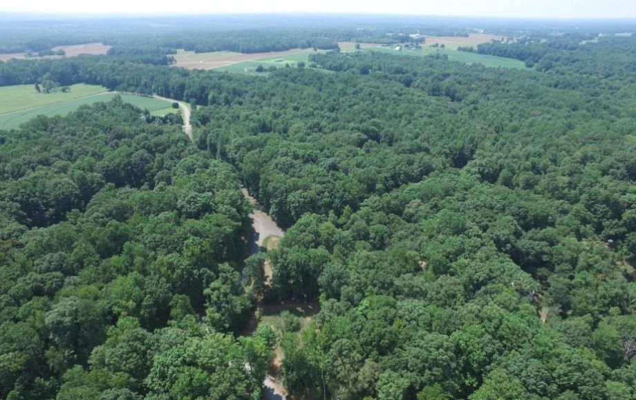 Image for 2 +/- Acre Building Lot in Bridgeforth Mill Subdivision—Amelia County—ONLINE ONLY BIDDING!!