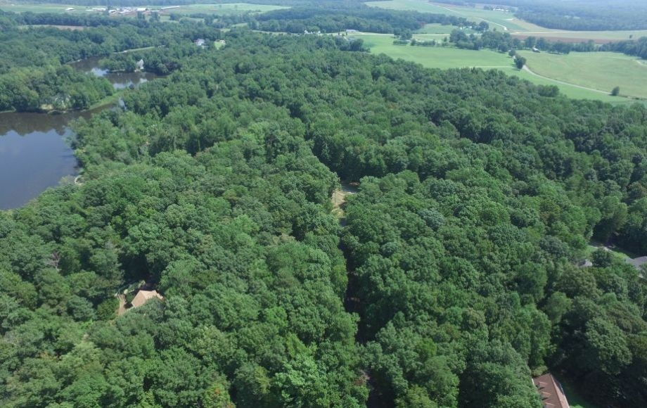 Image for 2 +/- Acre Building Lot in Bridgeforth Mill Subdivision—Amelia County—ONLINE ONLY BIDDING!!