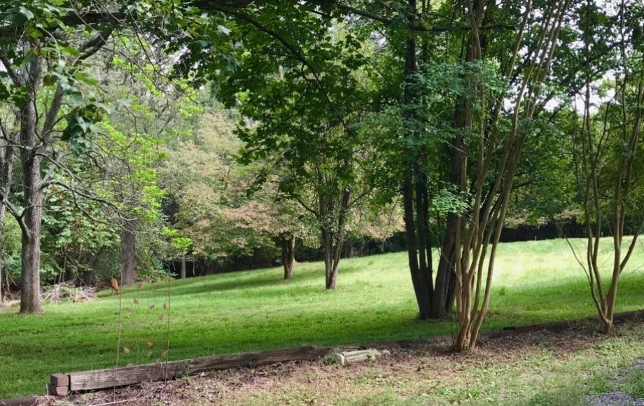 Image for 3 BR/1 BA Home on 2.3 +/- Acres in Loudoun County, VA