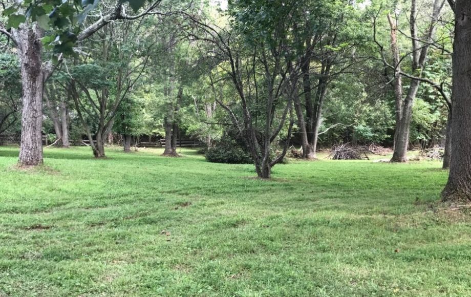 Image for 3 BR/1 BA Home on 2.3 +/- Acres in Loudoun County, VA