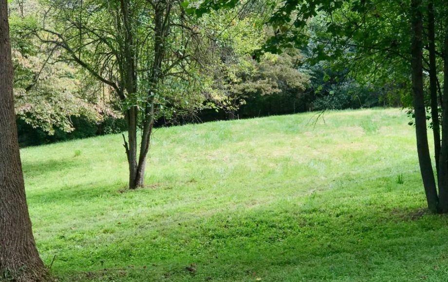 Image for 3 BR/1 BA Home on 2.3 +/- Acres in Loudoun County, VA