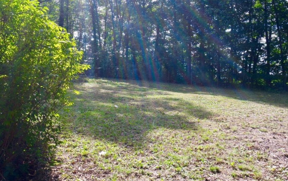 Image for 2 BR/2 BA Home in Gated Lake of the Woods—SELLS to the HIGHEST BIDDER!!