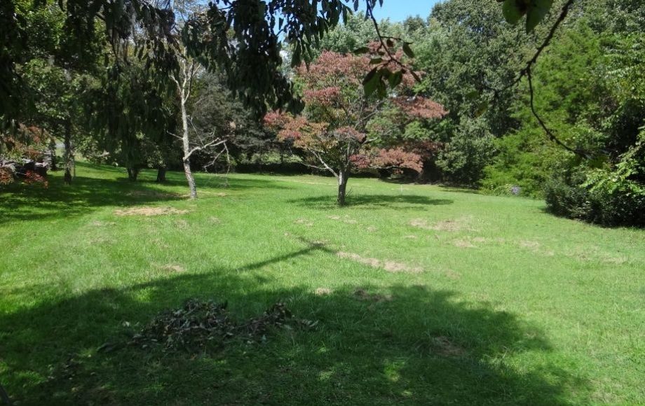 Image for .69 +/- Acre Building Lot in Eden Estates—King George County, VA