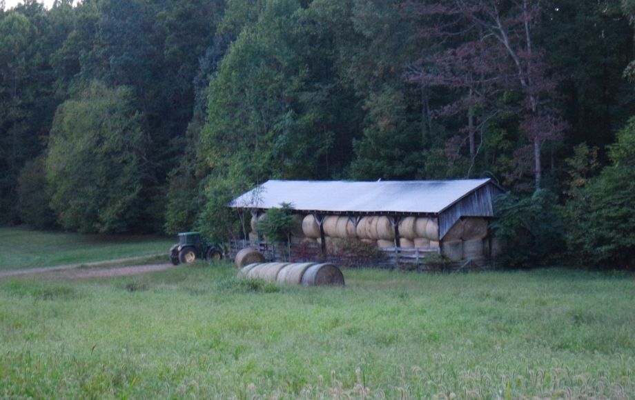 Image for 214 Acres:  5 Adjacent Parcels in Culpeper County, VA—Offered in Individual Tracts & Combinations