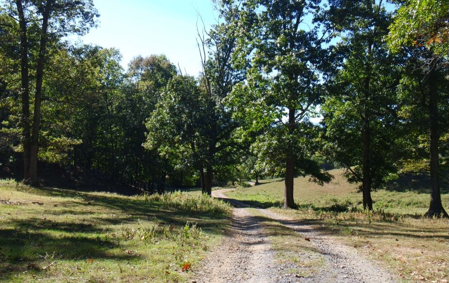 Image for 214 Acres:  5 Adjacent Parcels in Culpeper County, VA—Offered in Individual Tracts & Combinations