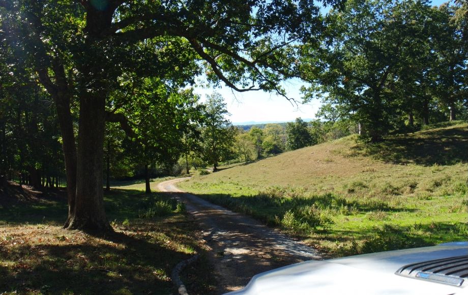 Image for 214 Acres:  5 Adjacent Parcels in Culpeper County, VA—Offered in Individual Tracts & Combinations