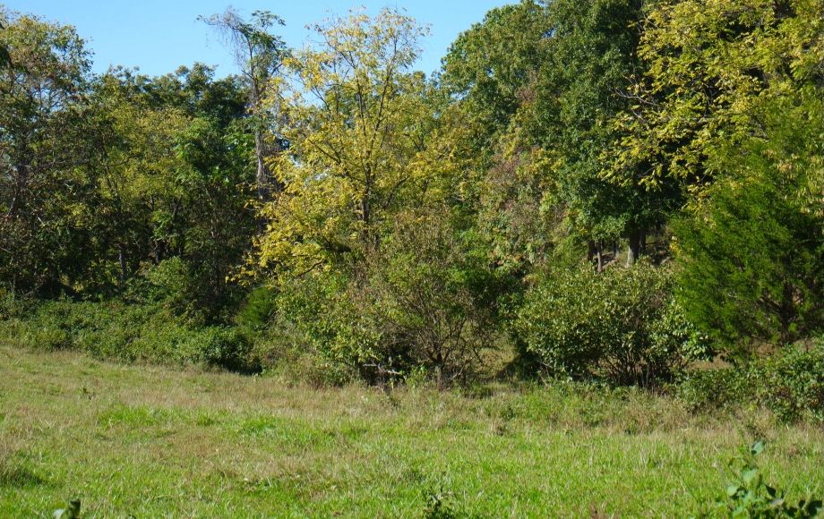 Image for 214 Acres:  5 Adjacent Parcels in Culpeper County, VA—Offered in Individual Tracts & Combinations