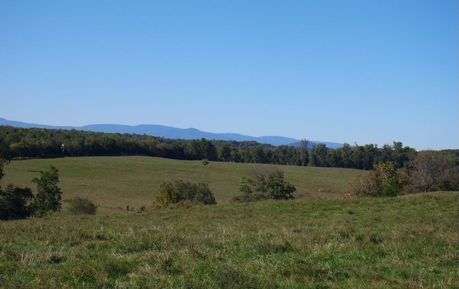 Image for 214 Acres:  5 Adjacent Parcels in Culpeper County, VA—Offered in Individual Tracts & Combinations