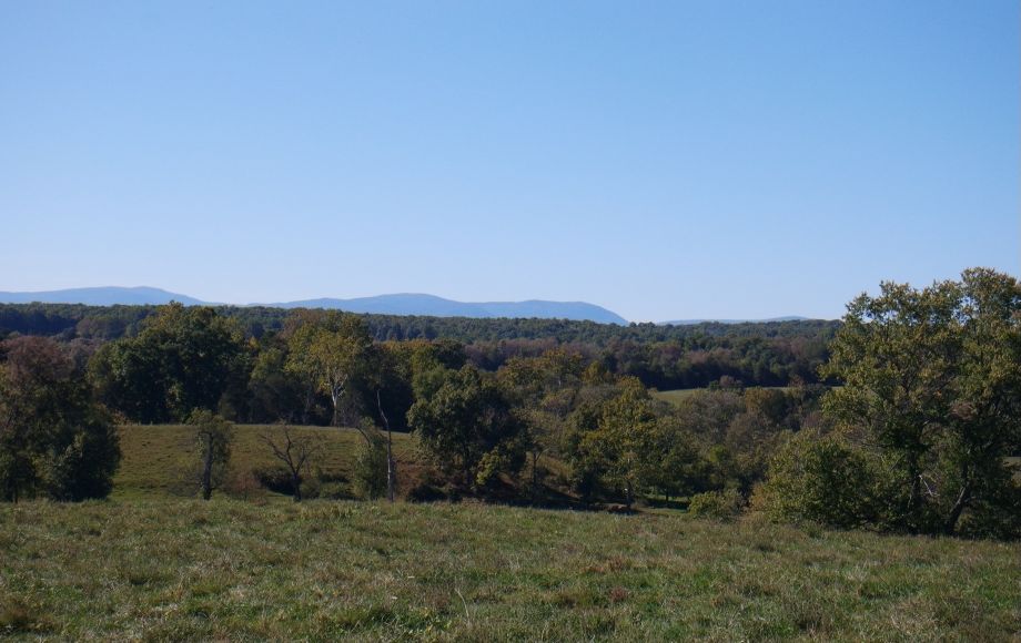 Image for 214 Acres:  5 Adjacent Parcels in Culpeper County, VA—Offered in Individual Tracts & Combinations