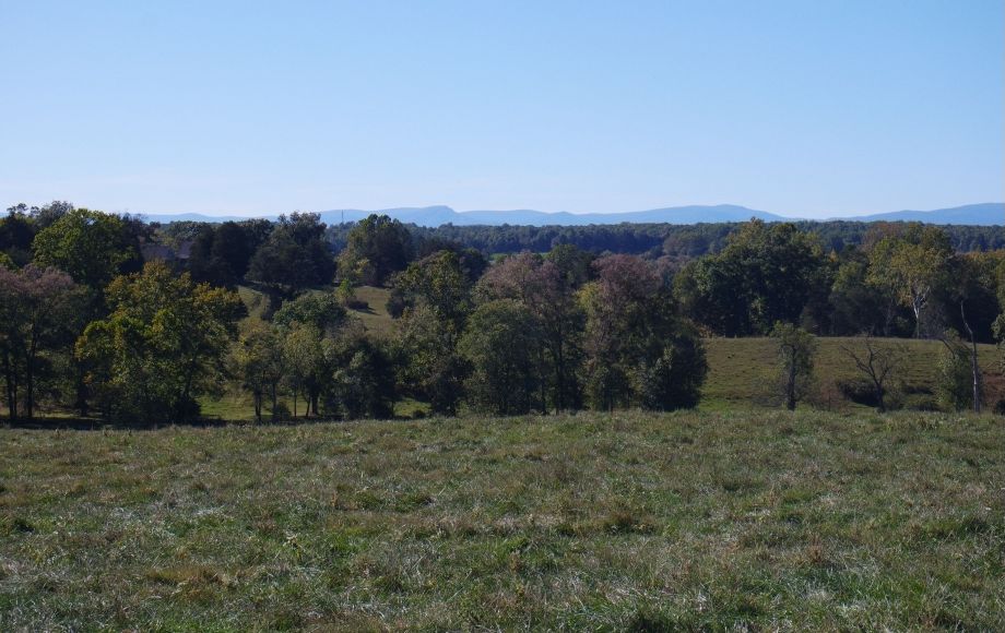Image for 214 Acres:  5 Adjacent Parcels in Culpeper County, VA—Offered in Individual Tracts & Combinations