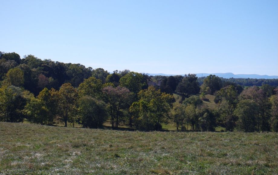 Image for 214 Acres:  5 Adjacent Parcels in Culpeper County, VA—Offered in Individual Tracts & Combinations
