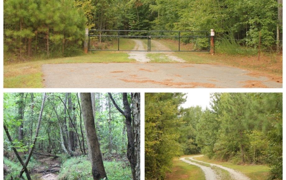 Image for 132 +/- Acres Only 5 Miles from New VCU Hospital in Lunenburg County, VA