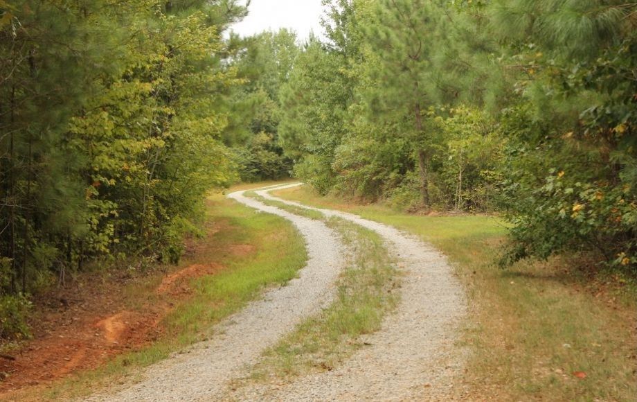 Image for 132 +/- Acres Only 5 Miles from New VCU Hospital in Lunenburg County, VA