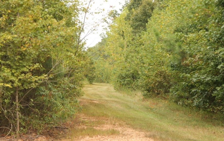 Image for 132 +/- Acres Only 5 Miles from New VCU Hospital in Lunenburg County, VA