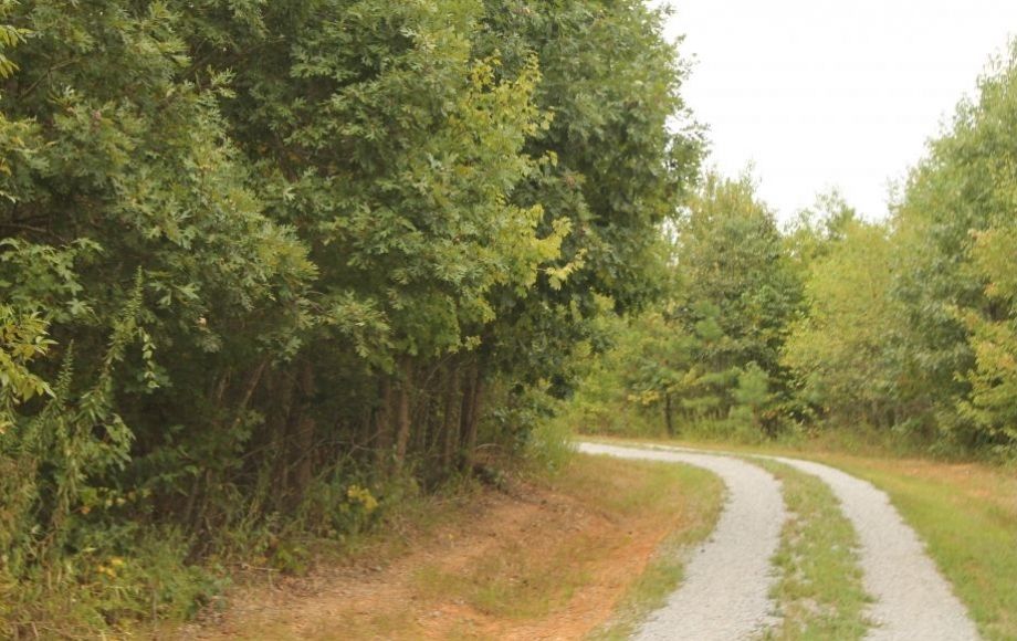 Image for 132 +/- Acres Only 5 Miles from New VCU Hospital in Lunenburg County, VA