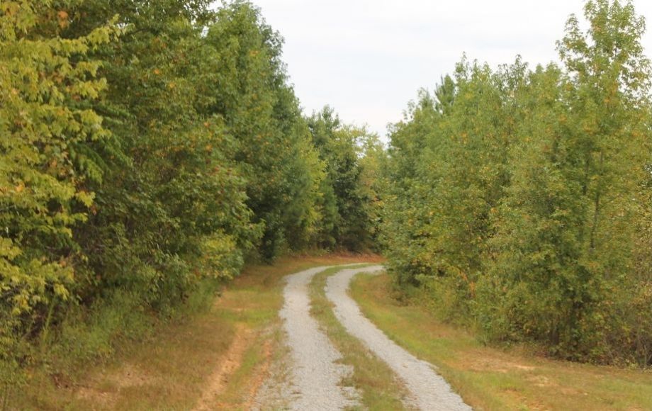 Image for 132 +/- Acres Only 5 Miles from New VCU Hospital in Lunenburg County, VA
