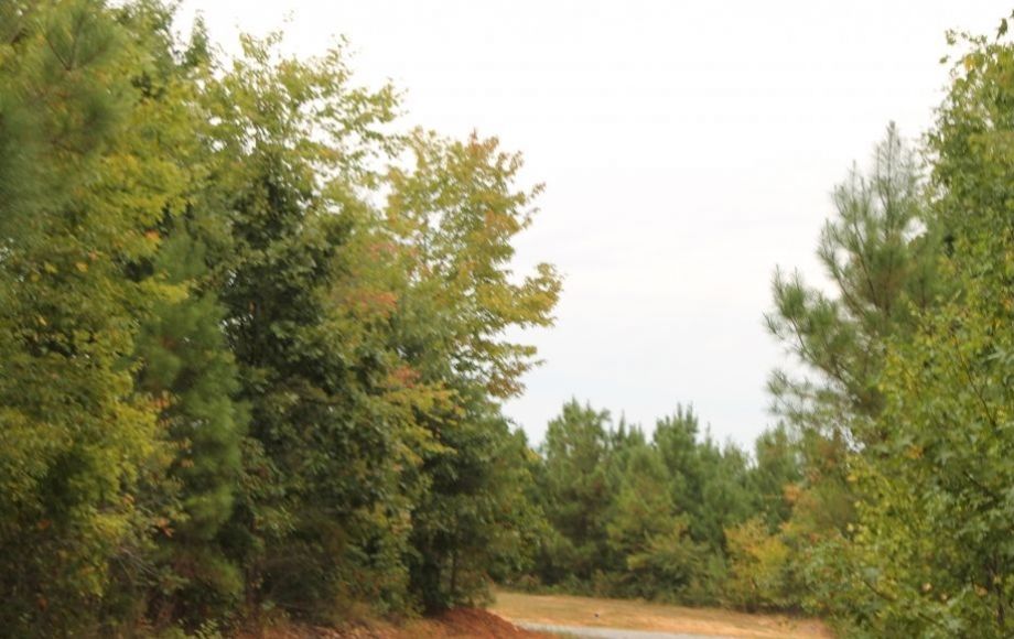 Image for 132 +/- Acres Only 5 Miles from New VCU Hospital in Lunenburg County, VA