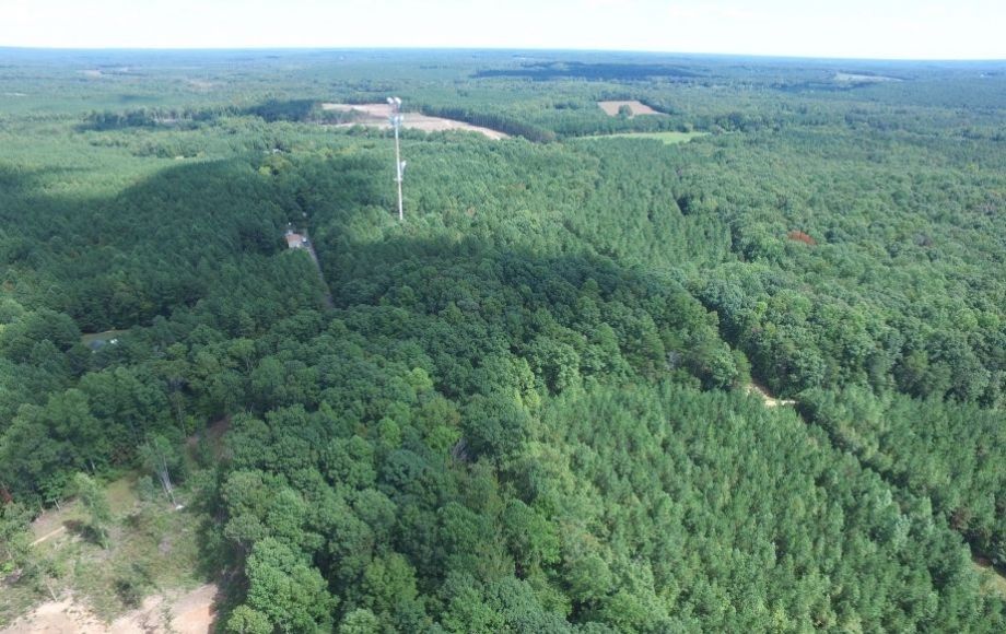 Image for 175 +/- Acres of Timber Land w/2,000’ +/- of Frontage on the Appomattox River—ONLINE ONLY BIDDING!!