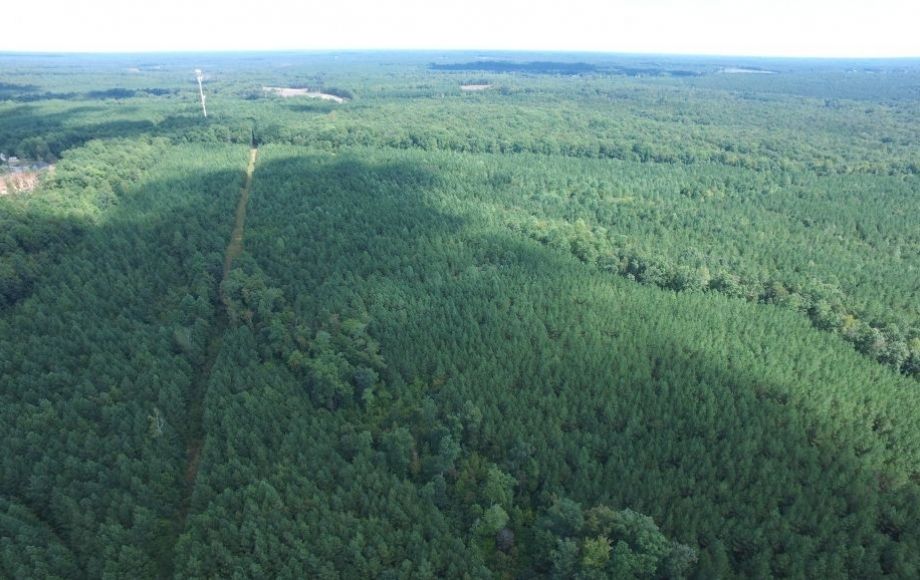 Image for 175 +/- Acres of Timber Land w/2,000’ +/- of Frontage on the Appomattox River—ONLINE ONLY BIDDING!!