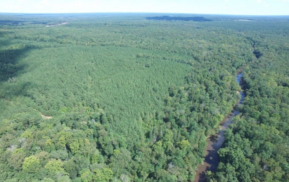 Image for 175 +/- Acres of Timber Land w/2,000’ +/- of Frontage on the Appomattox River—ONLINE ONLY BIDDING!!