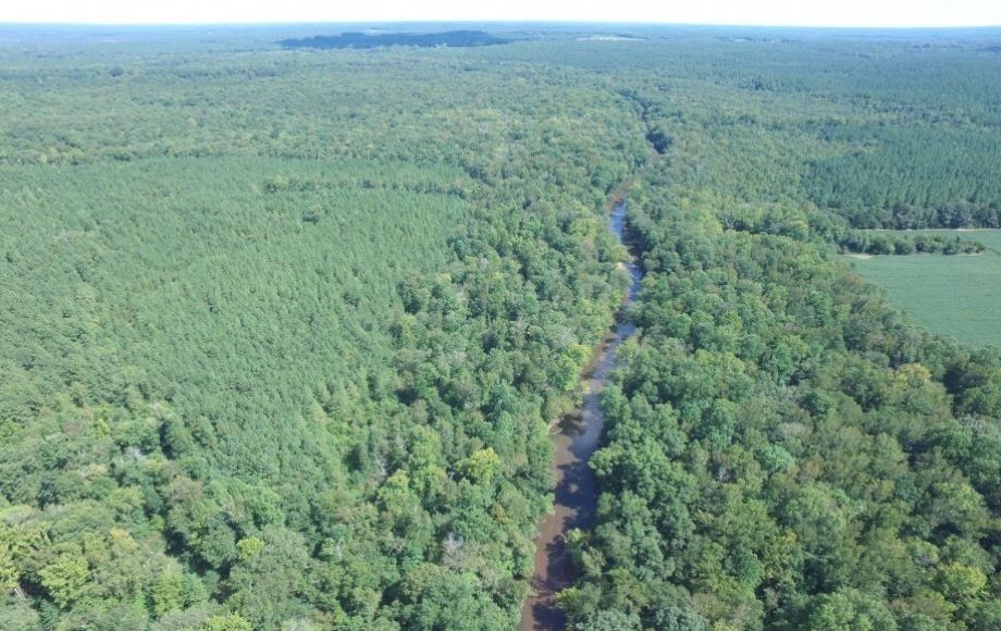 Image for 175 +/- Acres of Timber Land w/2,000’ +/- of Frontage on the Appomattox River—ONLINE ONLY BIDDING!!