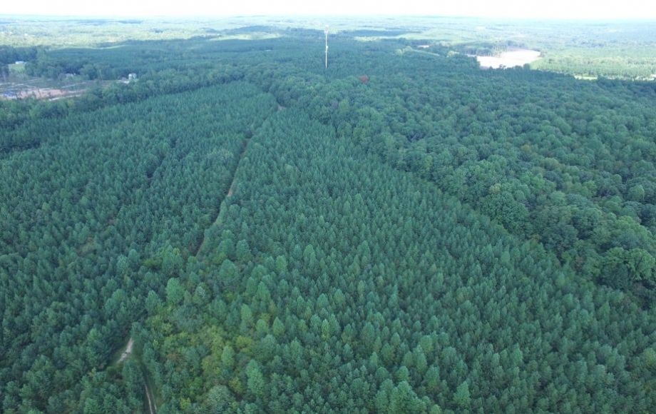 Image for 175 +/- Acres of Timber Land w/2,000’ +/- of Frontage on the Appomattox River—ONLINE ONLY BIDDING!!