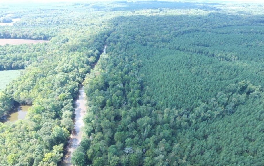 Image for 175 +/- Acres of Timber Land w/2,000’ +/- of Frontage on the Appomattox River—ONLINE ONLY BIDDING!!