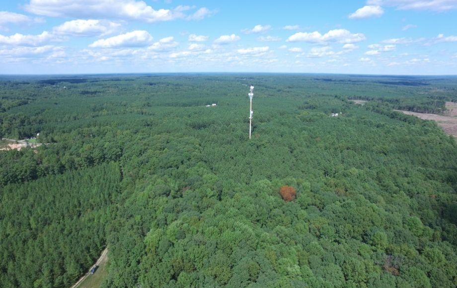 Image for 175 +/- Acres of Timber Land w/2,000’ +/- of Frontage on the Appomattox River—ONLINE ONLY BIDDING!!