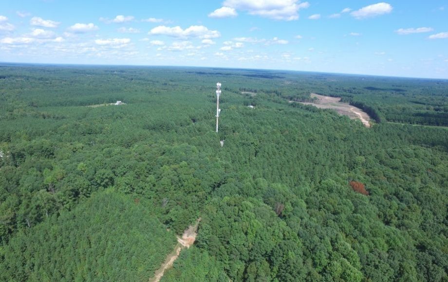Image for 175 +/- Acres of Timber Land w/2,000’ +/- of Frontage on the Appomattox River—ONLINE ONLY BIDDING!!
