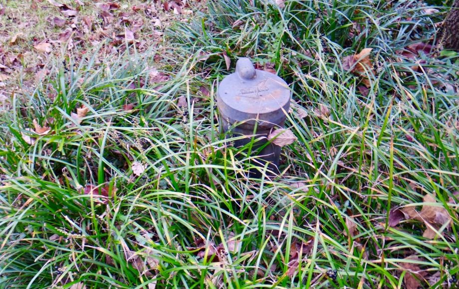 Image for 4 BR/2 BA Home w/Finished Walk-Out Basement on .67 +/- Acre Lot in Orange County, VA