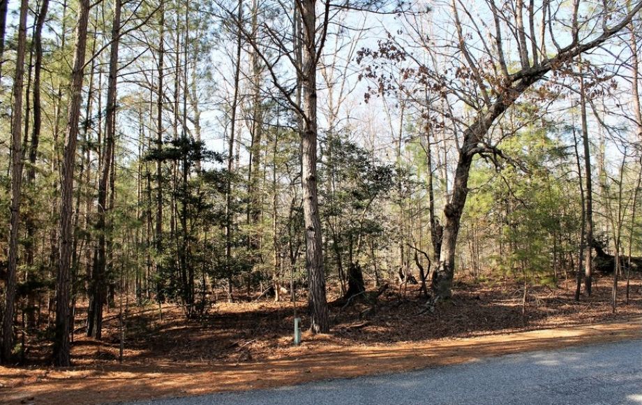 Image for 3+ Acre Wooded Corner Lake Gaston Building Lot w/Deeded Boat Slip—ONLINE ONLY BIDDING!!