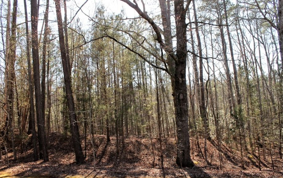 Image for 3+ Acre Wooded Corner Lake Gaston Building Lot w/Deeded Boat Slip—ONLINE ONLY BIDDING!!