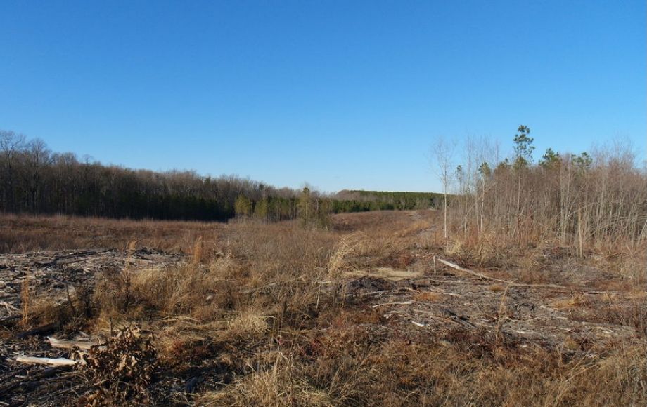 Image for 26 +/- Ac. of Raw Land in Spotsylvania County, VA Selling at or Above $25,000!! ONLINE BIDDING ONLY