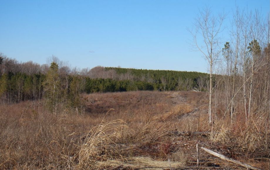 Image for 26 +/- Ac. of Raw Land in Spotsylvania County, VA Selling at or Above $25,000!! ONLINE BIDDING ONLY