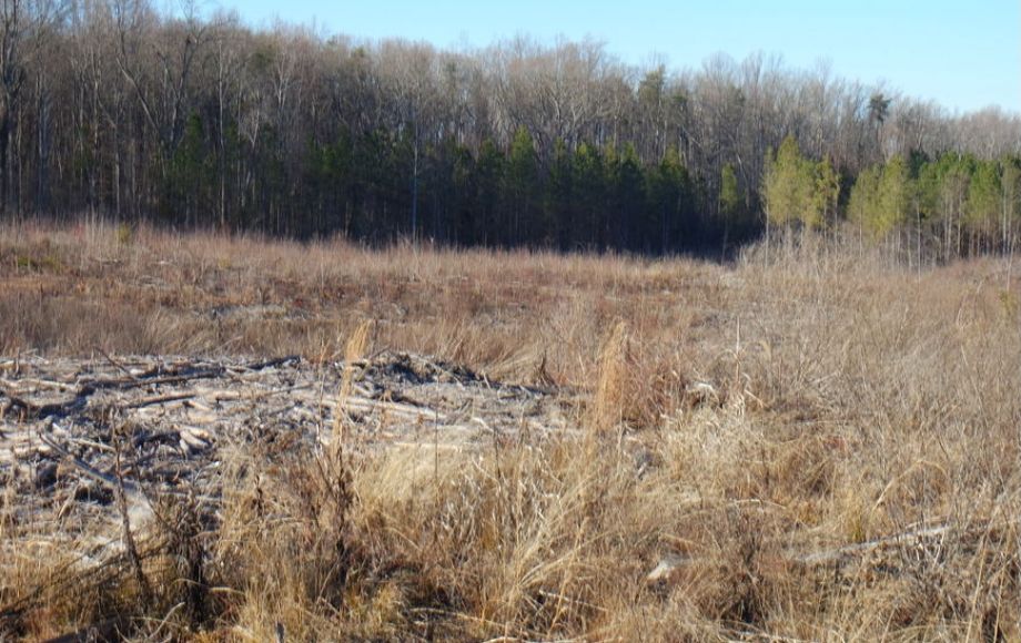 Image for 26 +/- Ac. of Raw Land in Spotsylvania County, VA Selling at or Above $25,000!! ONLINE BIDDING ONLY