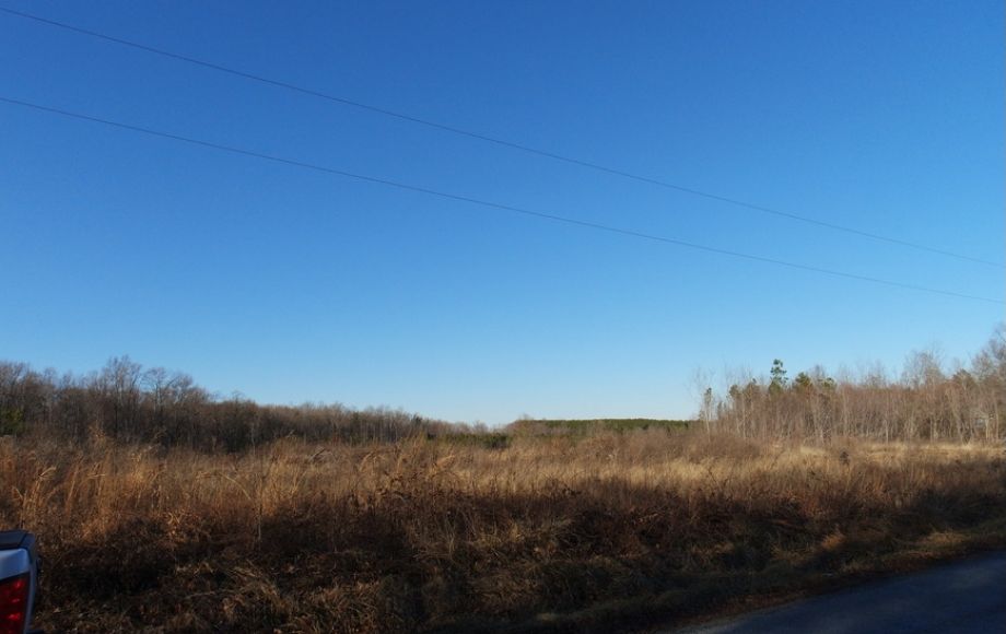 Image for 26 +/- Ac. of Raw Land in Spotsylvania County, VA Selling at or Above $25,000!! ONLINE BIDDING ONLY
