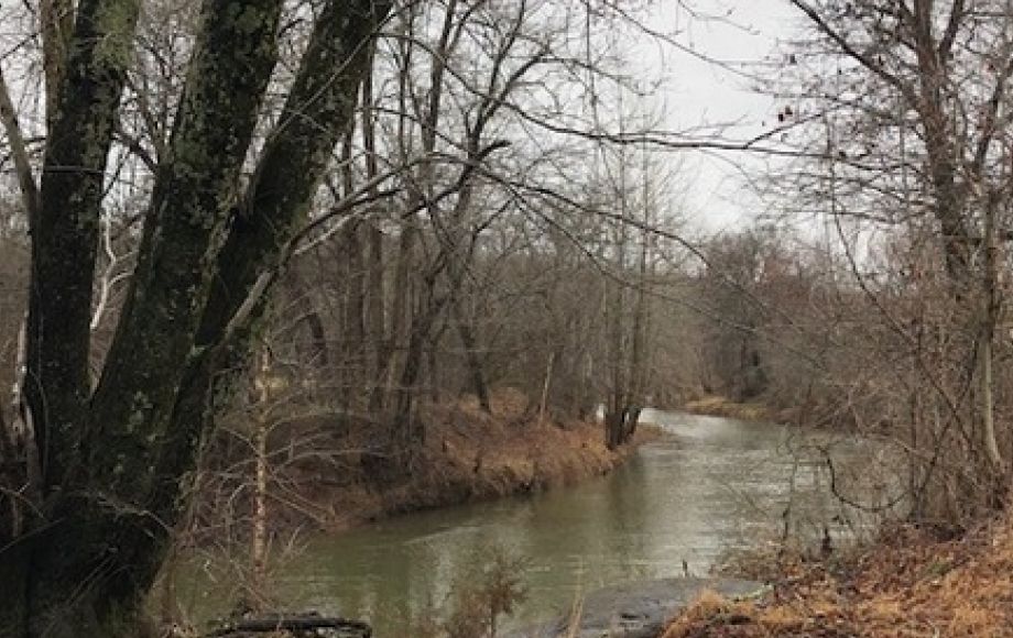 Image for 30 +/- Acres w/River Frontage & Creek Frontage in Madison, VA—Sells to the Highest Bidder!!