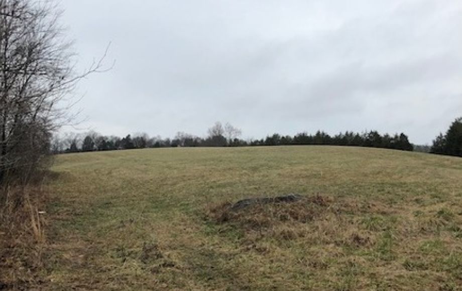 Image for 30 +/- Acres w/River Frontage & Creek Frontage in Madison, VA—Sells to the Highest Bidder!!