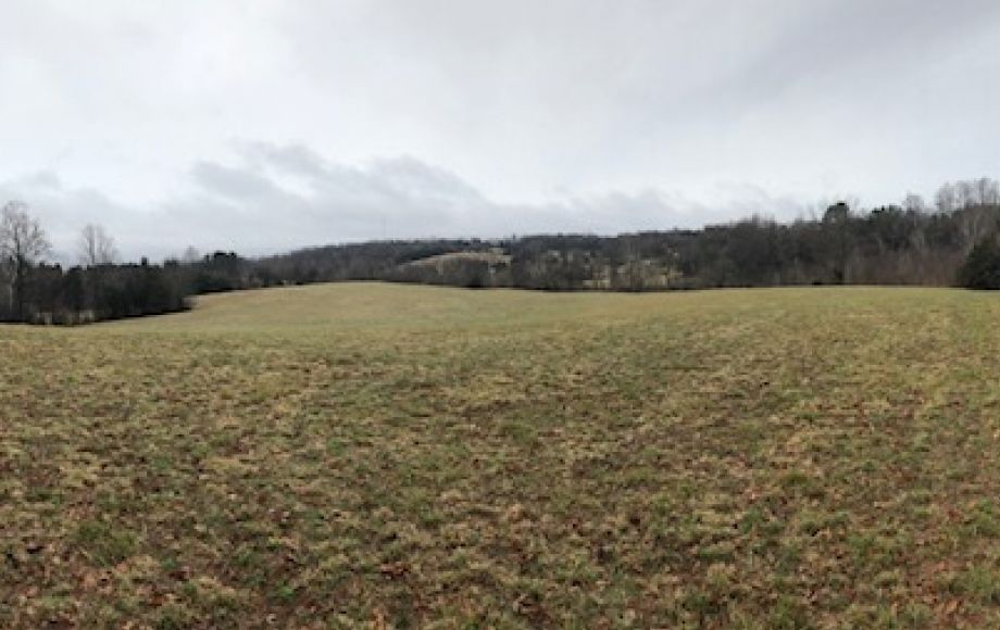 Image for 30 +/- Acres w/River Frontage & Creek Frontage in Madison, VA—Sells to the Highest Bidder!!