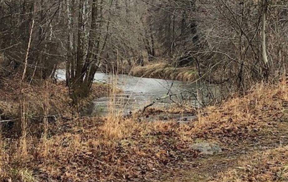 Image for 30 +/- Acres w/River Frontage & Creek Frontage in Madison, VA—Sells to the Highest Bidder!!