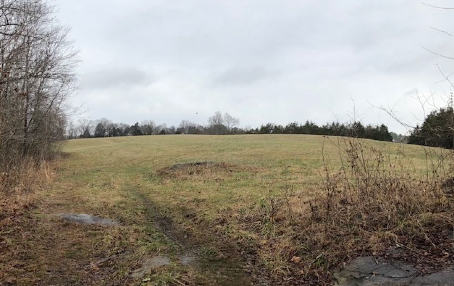 Image for 30 +/- Acres w/River Frontage & Creek Frontage in Madison, VA—Sells to the Highest Bidder!!