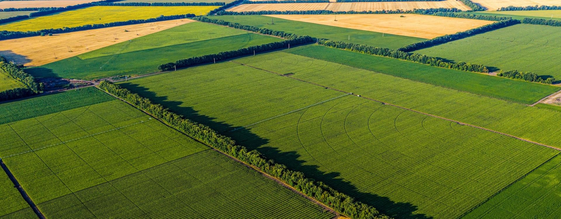 Land and Farms