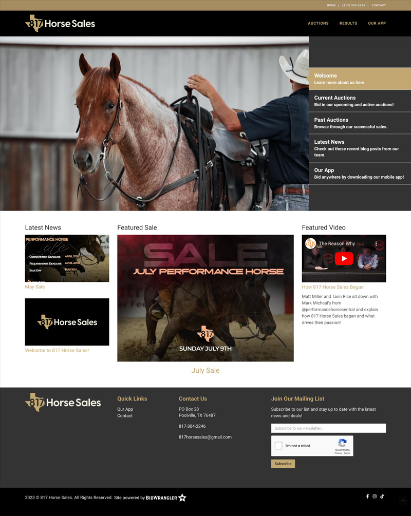 Website preview for 817 Horse Sales