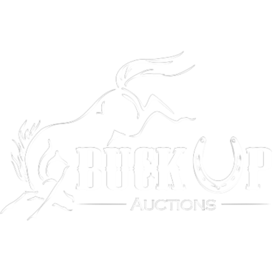 Auctions Logo
